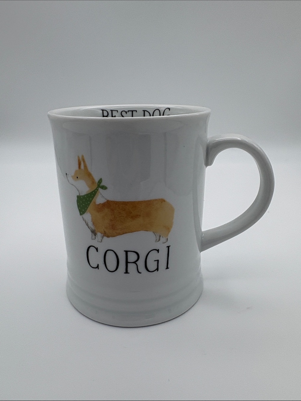 Best Dog Julianna Swaney for Fringe Studio CORGI with green scarf mug